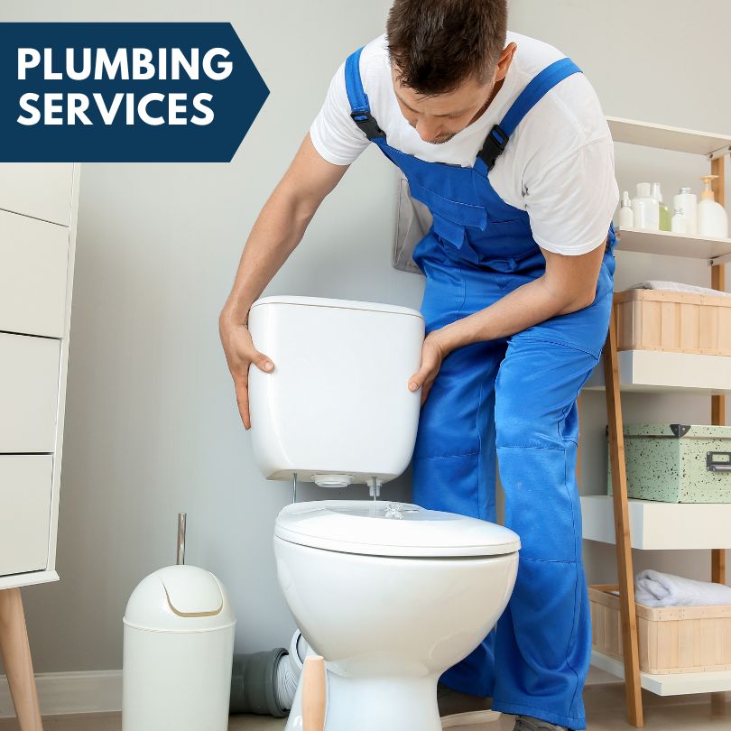 Plumbing Company in Davenport Center, NY